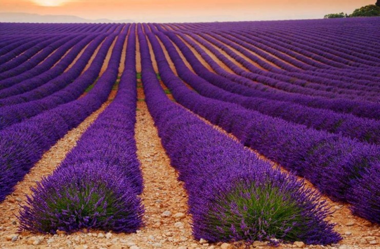 Προβηγκία: Ένα υπέροχο ταξίδι στο πέμπτο πιο όμορφο μέρος της Ευρώπης! 