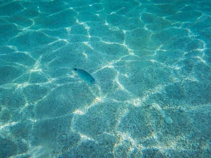 Η ωραιότερη "άγνωστη" παραλία της Ελλάδας που.. κοντράρει τον Παράδεισο! Η ωραιότερη "άγνωστη" παραλία της Ελλάδας που.. κοντράρει τον Παράδεισο!