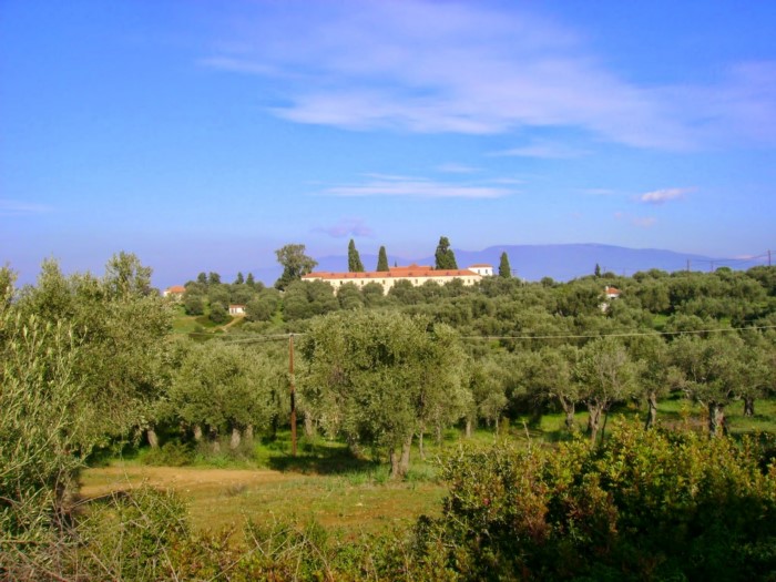 Το μοναδικής και σπάνιας ομορφιάς άγνωστο ελληνικό νησάκι που το επισκέπτεσαι μόνο με.. θαλάσσιο ταξί!