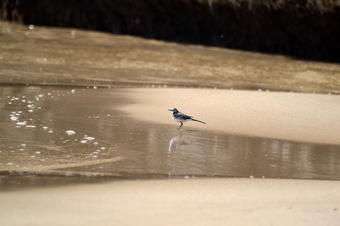 Παραλία Βοϊδοκοιλιάς μια από τις ωραιότερες παραλίες σε όλη την Ελλάδα!