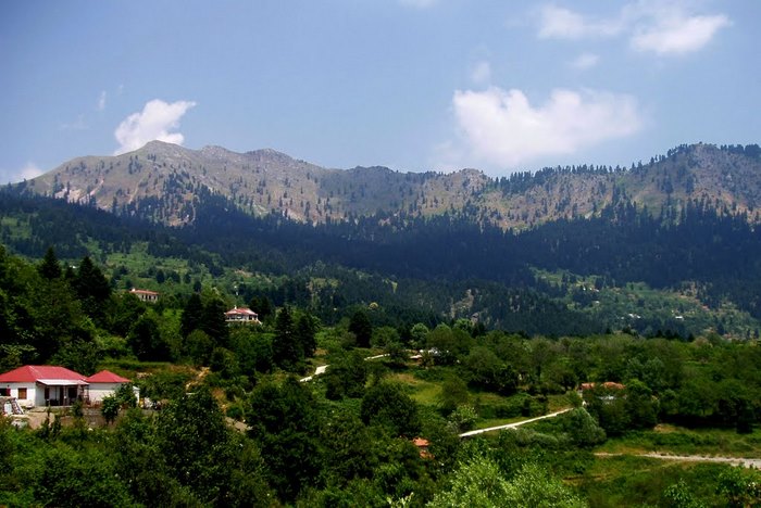 Πολύτιμο αριστούργημα: Ένα από τα ωραιότερα γεφύρια που έχετε δει βρίσκεται στην Ελλάδα!