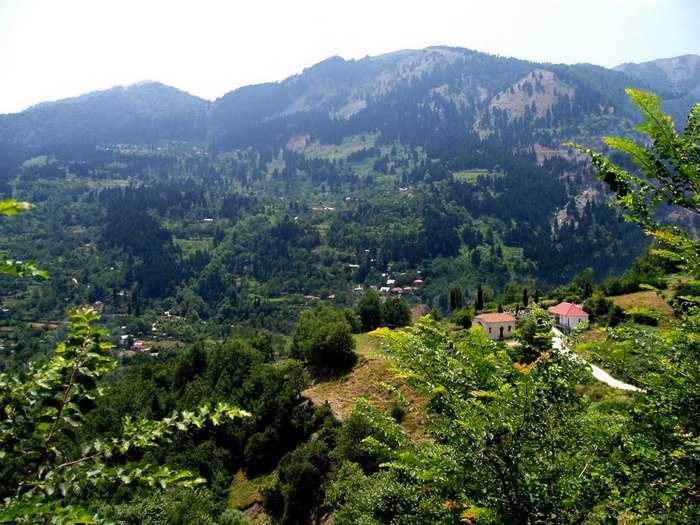 Πολύτιμο αριστούργημα: Ένα από τα ωραιότερα γεφύρια που έχετε δει βρίσκεται στην Ελλάδα!