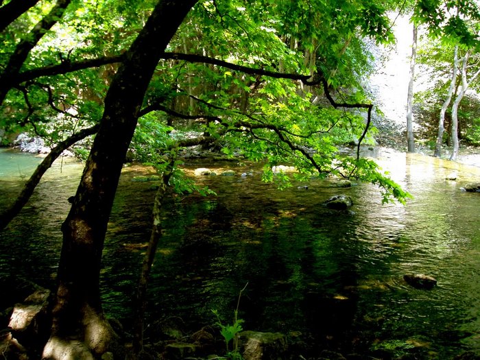 Πολύτιμο αριστούργημα: Ένα από τα ωραιότερα γεφύρια που έχετε δει βρίσκεται στην Ελλάδα!