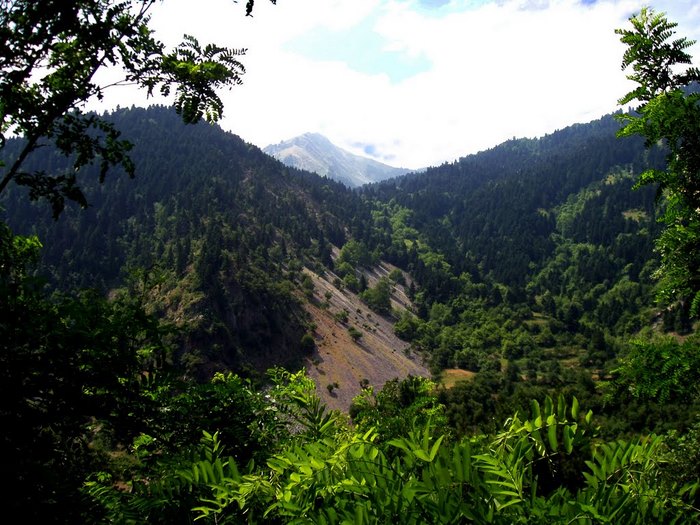 Πολύτιμο αριστούργημα: Ένα από τα ωραιότερα γεφύρια που έχετε δει βρίσκεται στην Ελλάδα!