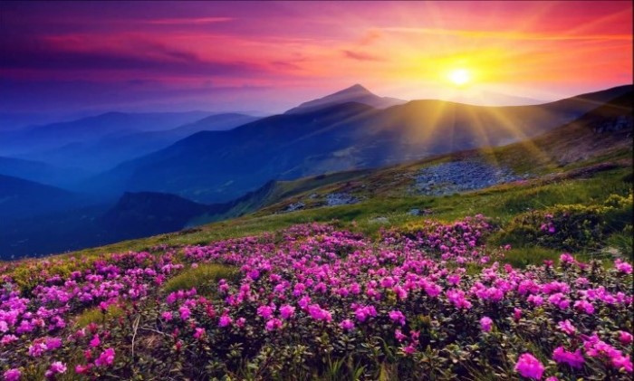 Η «Κοιλάδα των Λουλουδιών»: Ένα τοπίο εκπληκτικής ομορφιάς «κρυμμένο» στα Ιμαλάια Η «Κοιλάδα των Λουλουδιών»: Ένα τοπίο εκπληκτικής ομορφιάς «κρυμμένο» στα Ιμαλάια