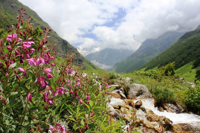 Η «Κοιλάδα των Λουλουδιών»: Ένα τοπίο εκπληκτικής ομορφιάς «κρυμμένο» στα Ιμαλάια