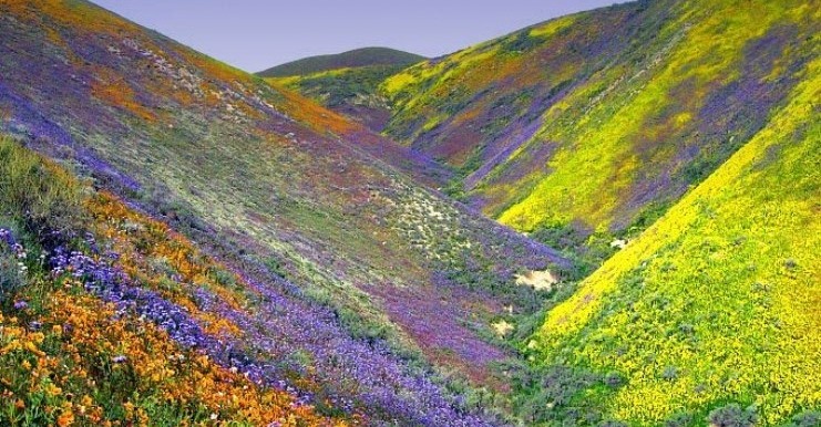 Η «Κοιλάδα των Λουλουδιών»: Ένα τοπίο εκπληκτικής ομορφιάς! Σε ποια περιοχή θα το βρείτε