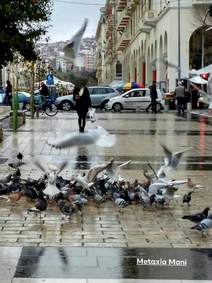 40 φωτογραφίες που αποδεικνύουν ότι η Αριστοτέλους είναι η ωραιότερη πλατεία της Ελλάδας