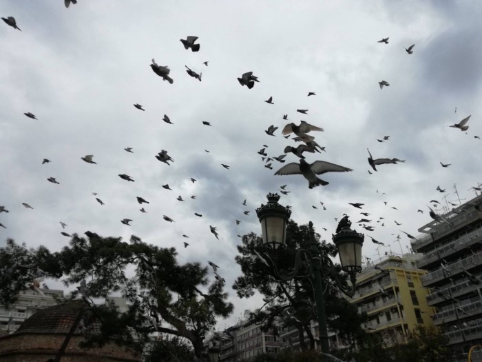 40 φωτογραφίες που αποδεικνύουν ότι η Αριστοτέλους είναι η ωραιότερη πλατεία της Ελλάδας