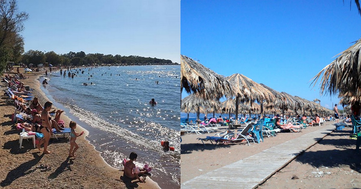 Πάτρα παραλία: Τρόμος σε παραλία της Πάτρας – Τι ξέβρασε η θάλασσα και έκανε τους λουόμενους να τα χάσουν