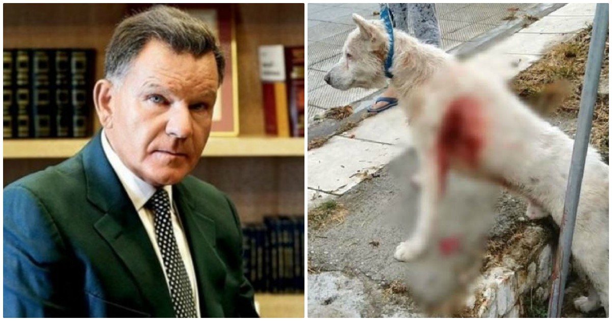 Κούγιας για βασανιστή σκύλου: «Ο απάνθρωπος μου ζήτησε να τον υπερασπιστώ»