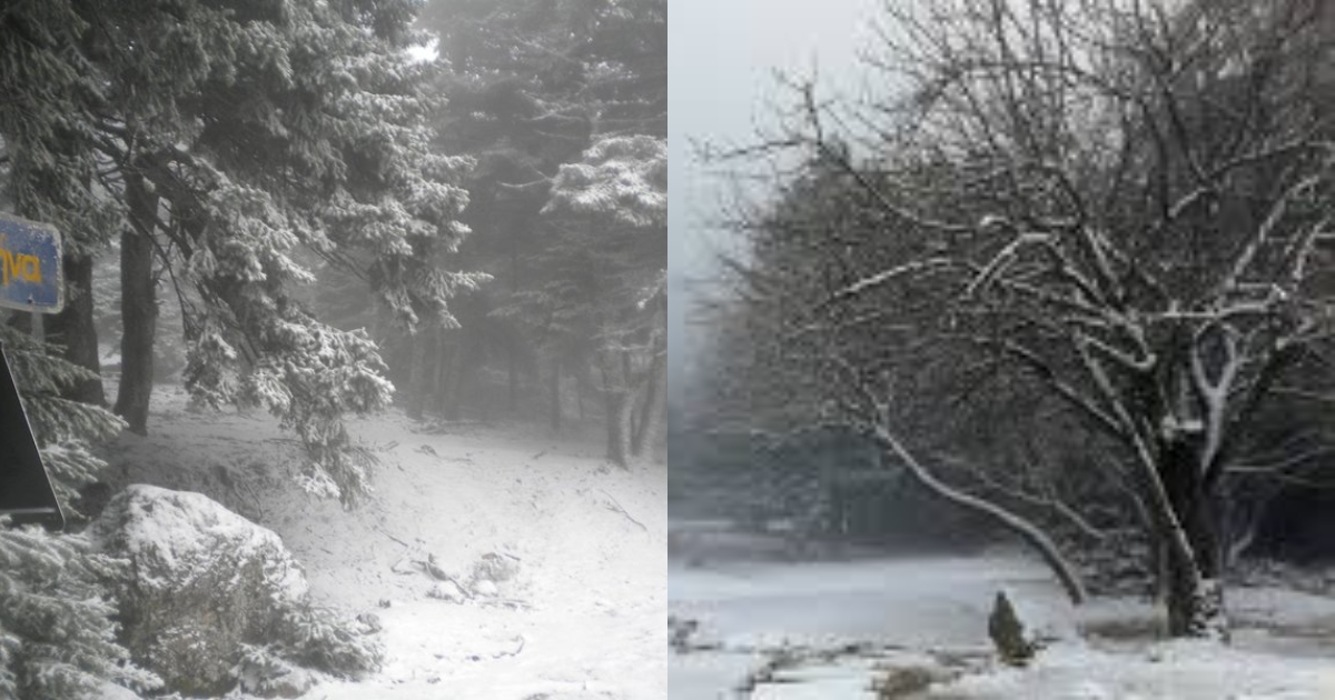 Πάρνηθα χιόνια: Μεγάλη πτώση της θερμοκρασίας και χιόνια στα ορεινά από το απόγευμα της Δευτέρας 30 Νοεμβρίου