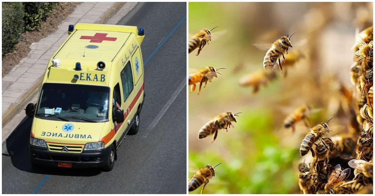 Ζάκυνθος: 48χρονος άνδρας πέθανε από επίθεση μελισσών