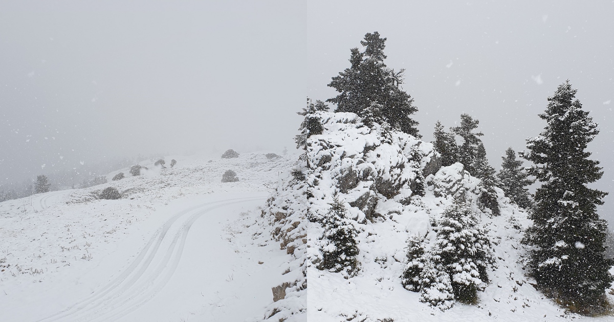 Παρνασσός χιόνια: Χιόνισε στον Παρνασσό και το τοπίο είναι ονειρικό – Δείτε τις εντυπωσιακές εικόνες