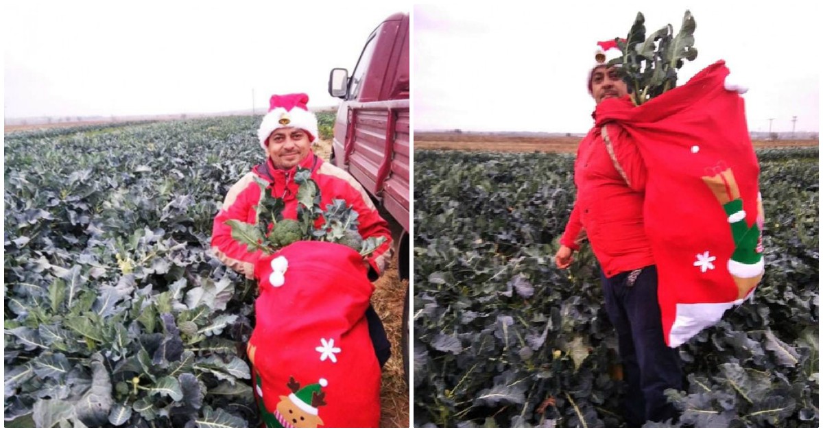 Κιλκίς: Αγρότης βάζει χριστουγεννιάτικη μουσική στα λαχανικά του – «Την αγαπούν» λέει ο ίδιος