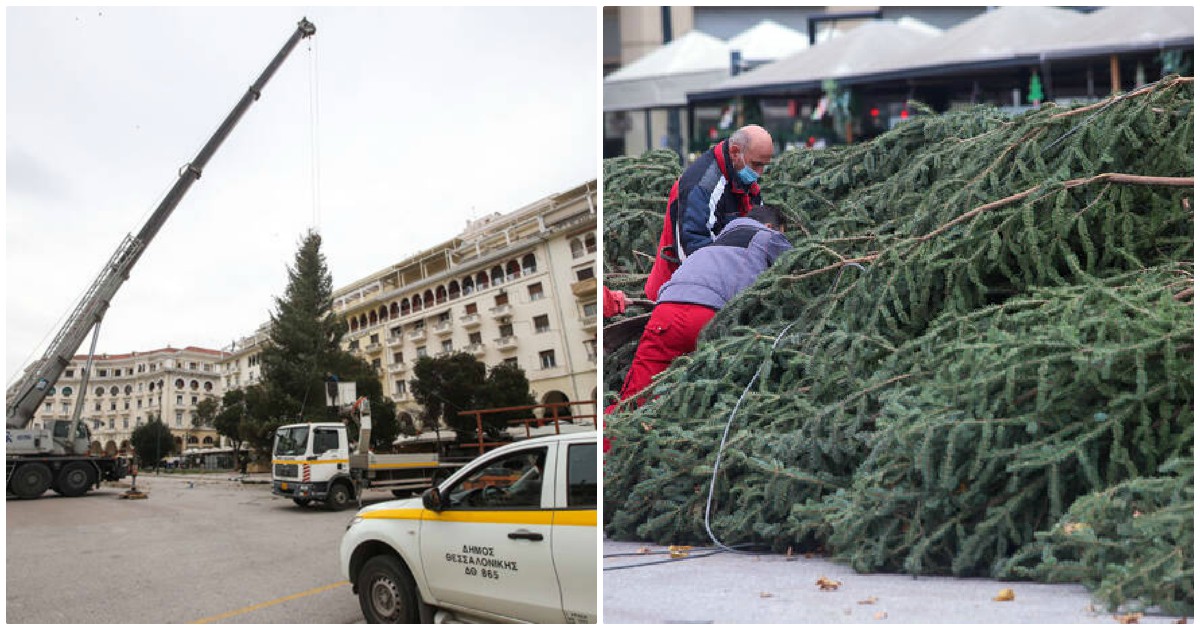 Πλατεία Αριστοτέλους: Ξεκίνησε ο χριστουγεννιάτικος στολισμός – Στήνεται δέντρο 18 μέτρων