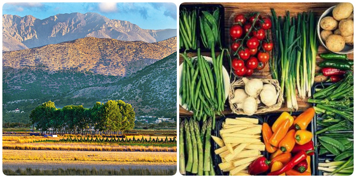 Οροπέδιο Λασιθίου: Αποκτά το πρώτο eshop για αγροτικά προϊόντα στην Ελλάδα