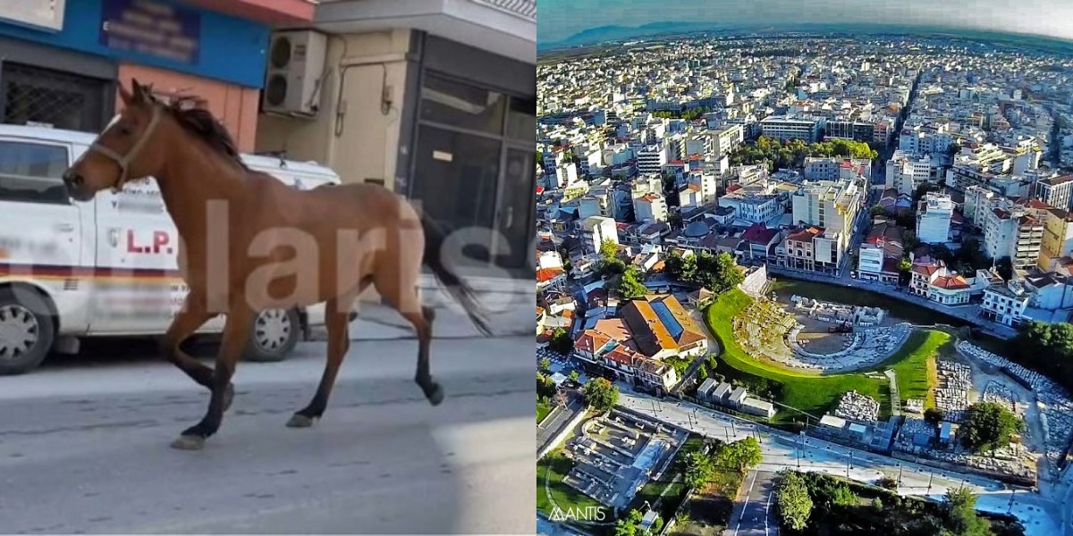 Λάρισα σοκ: Άλογο ξέφυγε του ιδιοκτήτη του και κυκλοφορούσε στο κέντρο της πόλης (βίντεο)