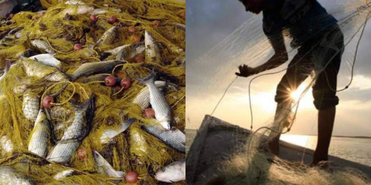 Πήλιο: Ψαράς έπιασε τεράστιο γαλέο 140 κιλών – Φωτογραφία με την απίστευτη ψαριά