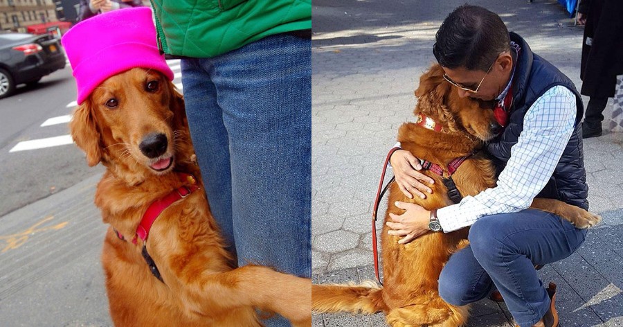 Αγκαλίτσας σκύλος δίνει αγάπη στους περαστικούς με αγκαλιές και τρελαίνει το διαδίκτυο