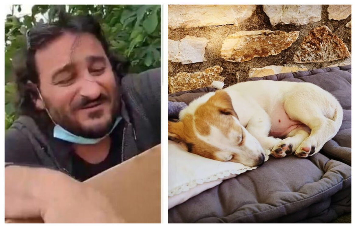 Βασίλης Χαραλαμπόπουλος: Υιοθέτησε το κουταβάκι που βρήκε πριν λίγες μέρες σε κάδο σκουπιδιών στο Πήλιο