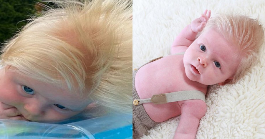 Τρέλα στο Ιντερνετ με το 3 μηνών μωρό με το μαλλί… Μπόρις Τζόνσον