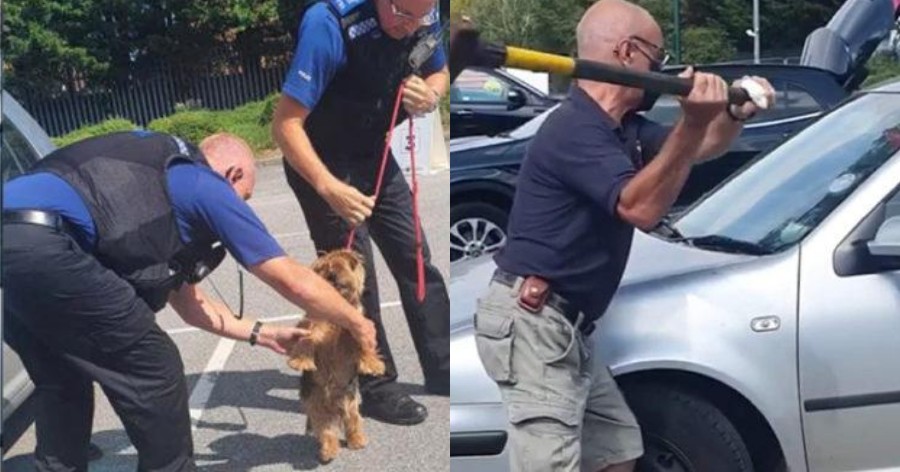 Άντρας σπάει αμάξι με τσεκούρι για να σώσει σκυλί που πέθαινε από τη ζέστη