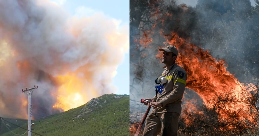 Φωτιά στα Βίλια: Αναλυτικό βίντεο ντοκουμέντο από τη στιγμή που ξεκινάει η φωτιά