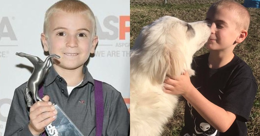 Αγοράκι 7 ετών έσωσε πάνω από 1.400 Σκυλιά και ανακηρύχτηκε ως «Παιδί της Χρονιάς»