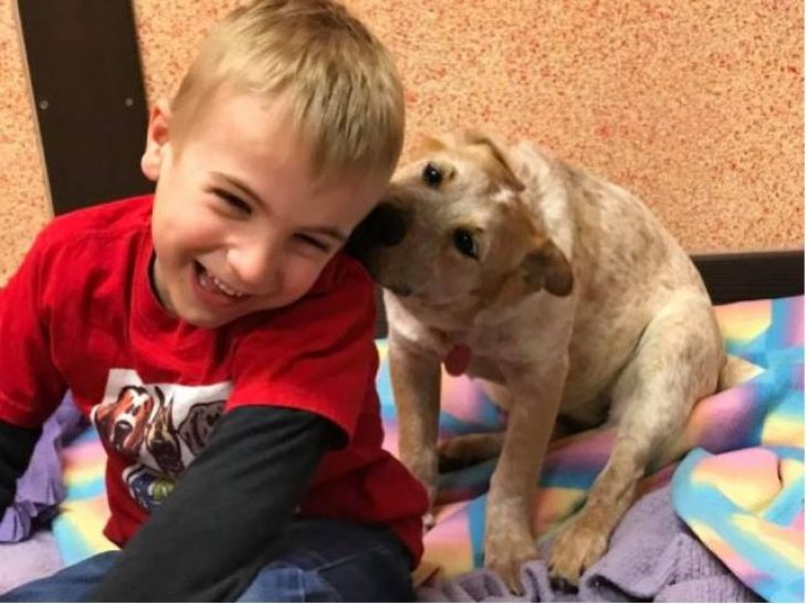 «Παιδί της Χρονιάς»: Αγόρι 7 ετών έσωσε 1.400 σκυλιά
