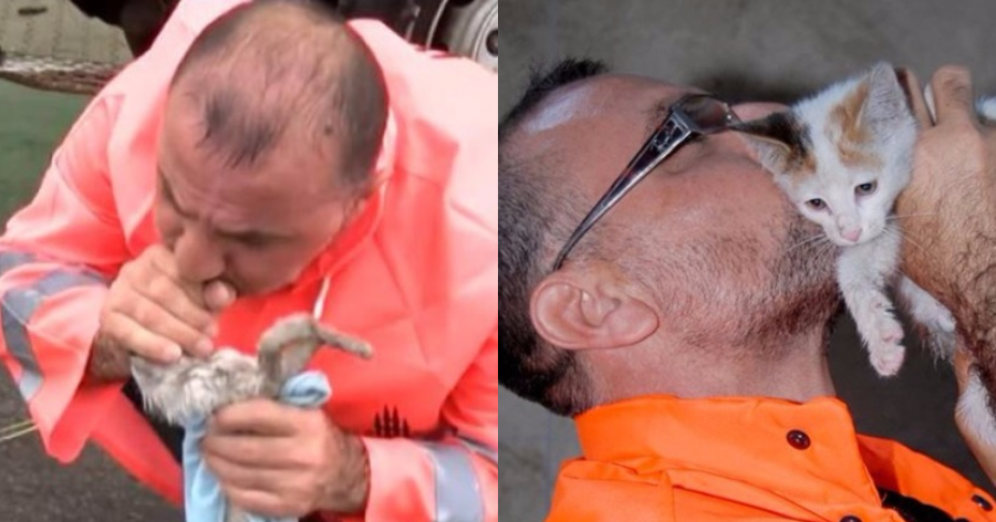 Άνδρας έσωσε ένα γατάκι, χαρίζοντας του το φιλί της ζωής