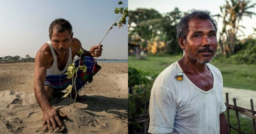 Αληθινός ήρωας: Άντρας φύτεψε μόνος του ένα ολόκληρο δάσος και έσωσε το νησί του