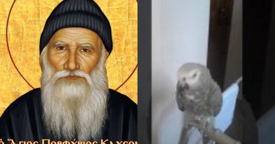 Ο Πέτρος, ο παπαγάλος του Αγίου Πορφυρίου 31 χρόνια λέει την ευχή