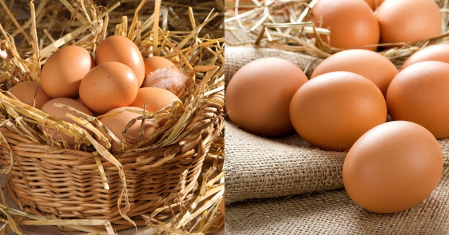 Φρέσκα αυγά: Ο πανέξυπνος τρόπος για να καταλάβεις αν είναι πραγματικά φρέσκα