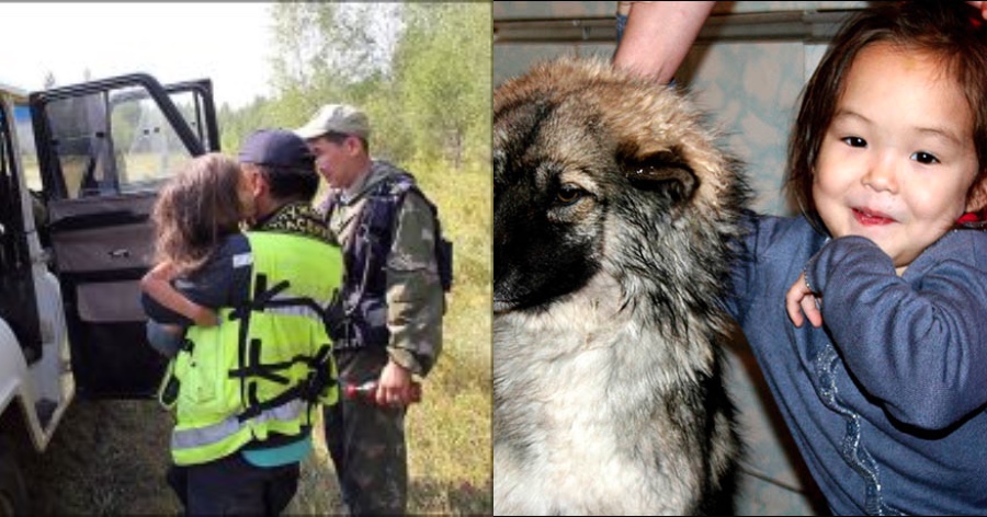 Σκύλος – ήρωας: Έσωσε 4 ετών κοριτσάκι χαμένο στην ερημιά της Σιβηρίας για έντεκα ημέρες