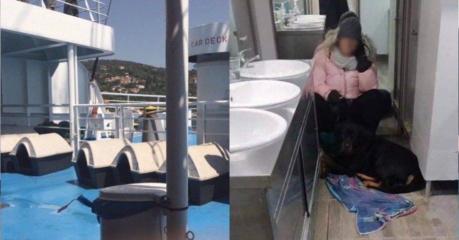 Αδιανόητο περιστατικό στη Σκόπελο: Την έβαλαν για πέντε ώρες στην παγωμένη τουαλέτα του πλοίου γιατί δεν είχαν κλουβί για το σκύλο
