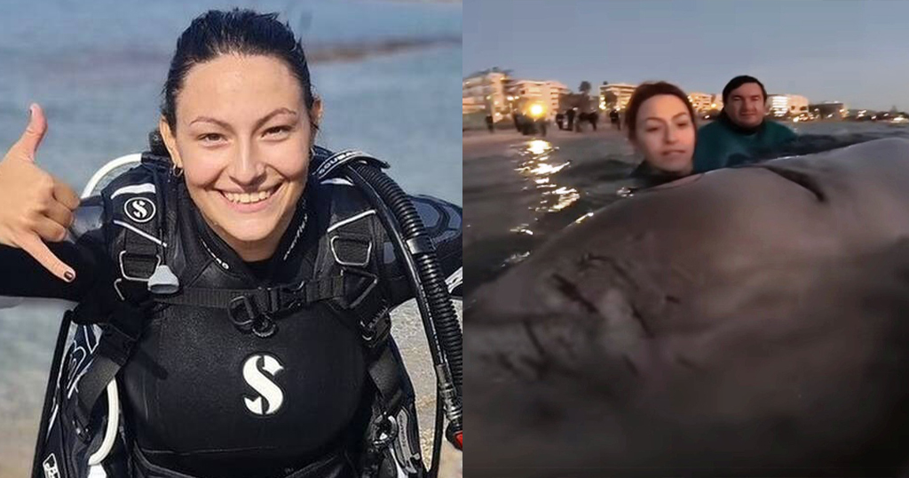 Τάνια Δράκου: Η εθελόντρια που συγκίνησε την Ελλάδα τραγουδώντας στη φάλαινα στον Άλιμο