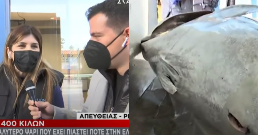 Έπιασαν γιγάντιο τόνο 400 κιλών στο Ιόνιο:  Tο μεγαλύτερο ψάρι που έχει πιαστεί ποτέ στην Ελλάδα