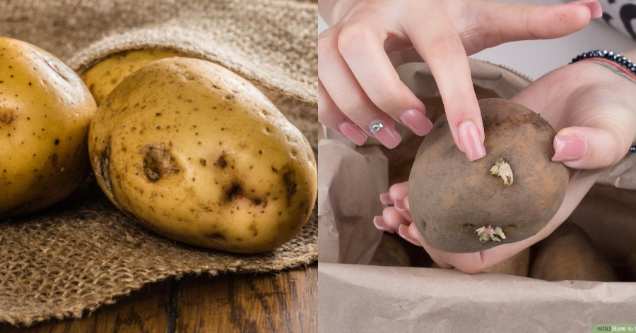 Φύτρες στις πατάτες: Ο έξυπνος τρόπος για να τις ξεφορτωθείτε και ο σωστός τρόπος συντήρησης