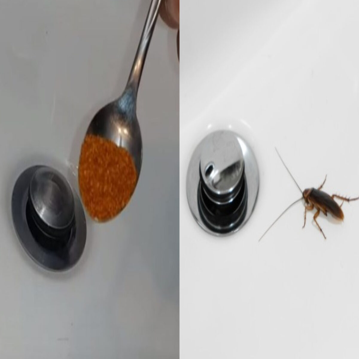 Κατσαρίδες στο μπάνιο: Χωρίς απολύμανση και με μόλις μια κουταλιά θα τις εξαφανίσεις για μήνες