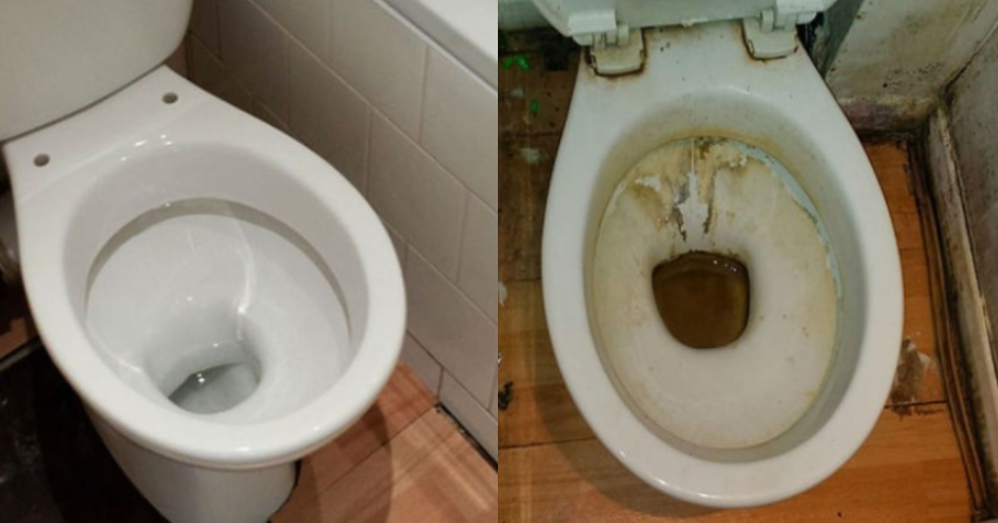 Το μυστικό της γιαγιάς: Αυτός είναι ο σωστός τρόπος να καθαρίσετε την λεκάνη της τουαλέτας