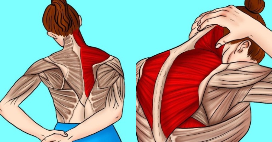 Αυχενικό: 11 ιδανικές ασκήσεις για πόνο στον αυχένα που θα σας ανακουφίσουν άμεσα και αποτελεσματικά