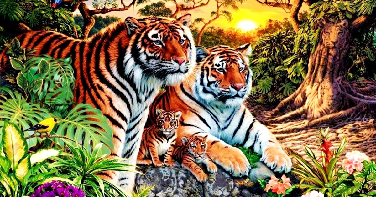 Πόσες τίγρεις βλέπετε; Η εικόνα που έχει μπερδέψει χιλιάδες χρήστες του διαδικτύου