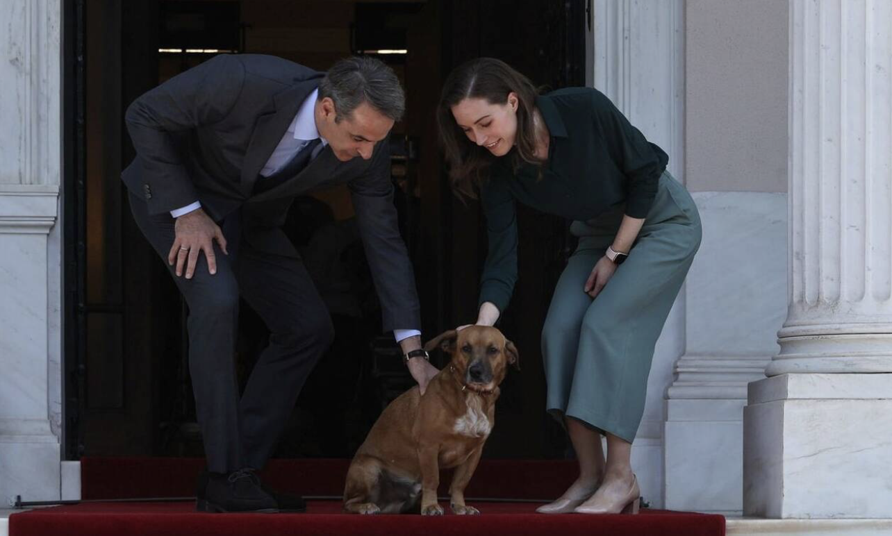 Ο Πίνατ, ο σκύλος – μασκότ του Μεγάρου Μαξίμου υποδέχτηκε τη Φινλανδή πρωθυπουργό