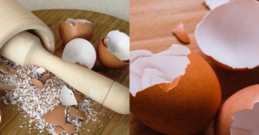 Τσόφλι αυγού: Οι περισσότεροι το πετάνε, ενώ υπάρχει σημαντικός λόγος να το κρατήσετε