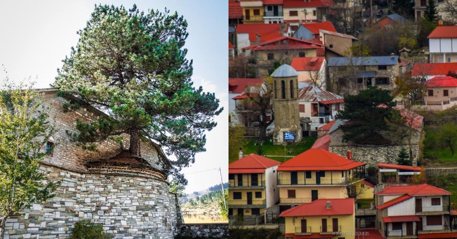 Γρεβενά: 100 χρονών δέντρο μεγαλώνει μέσα σε εκκλησία