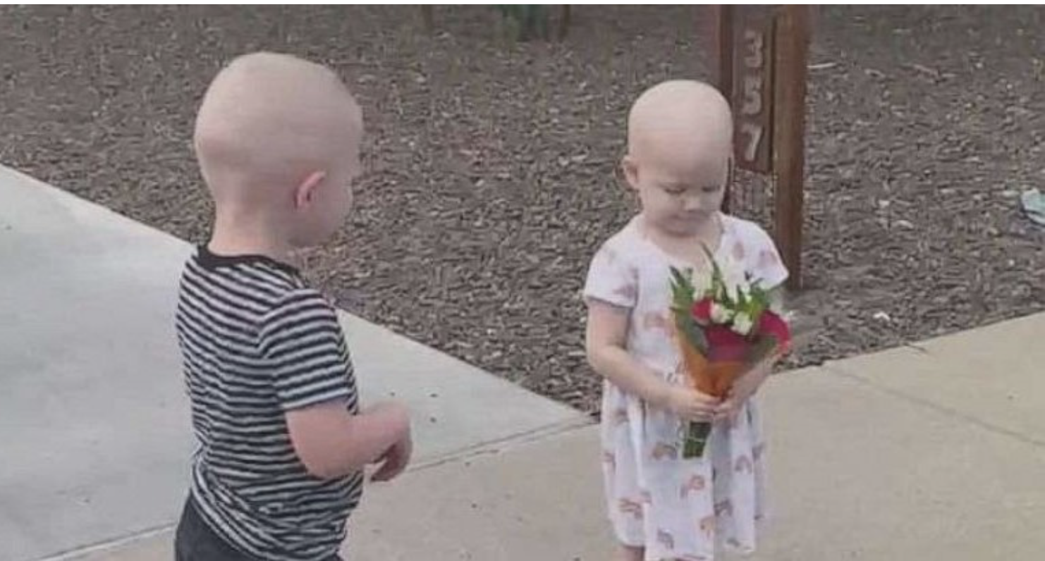 Αληθινή ιστορία: Παιδάκια τριών χρόνων νίκησαν τον καρκίνο και συναντήθηκαν ξανά έπειτα από καιρό