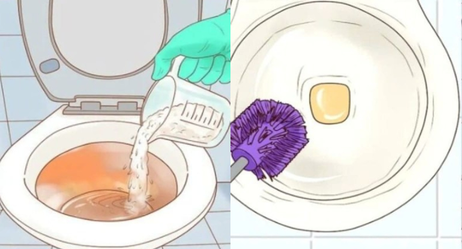 Χωρίς χημικά: Ο έξυπνος σπιτικός τρόπος για να λάμψει η λεκάνη της τουαλέτας χωρίς κόπο