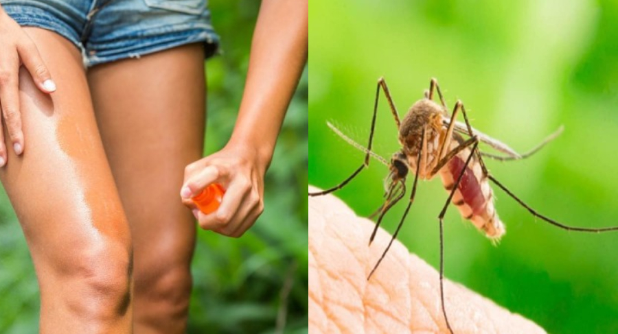 Σπιτική συνταγή: Εξαφανίστε τα κουνούπια μια για πάντα με φυσικά υλικά