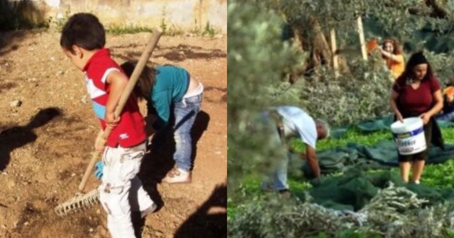 “Τα ελληνόπουλα να πάνε να δουλέψουν στα χωράφια – Δεν είναι ντροπή, ντροπή είναι τα επιδόματα”